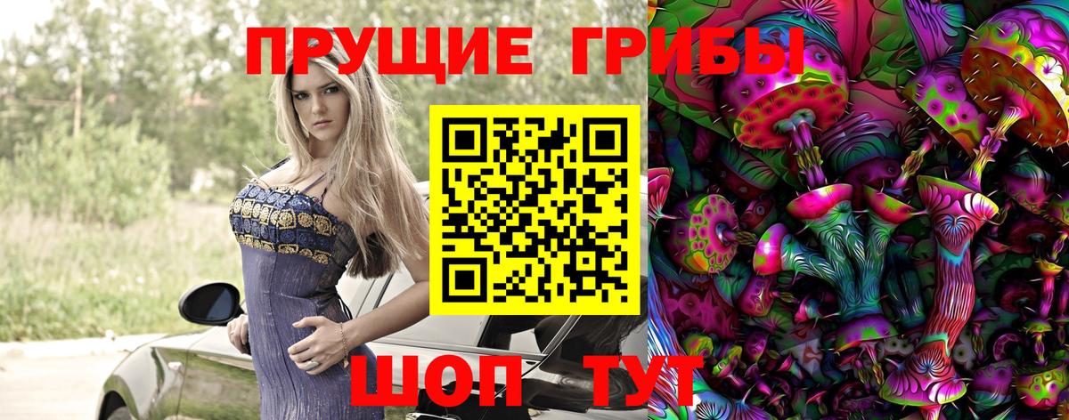Галлюциногенные грибы мицелий  Вход с VPN  Галлюциногенные грибы прущие грибы  Сертолово 