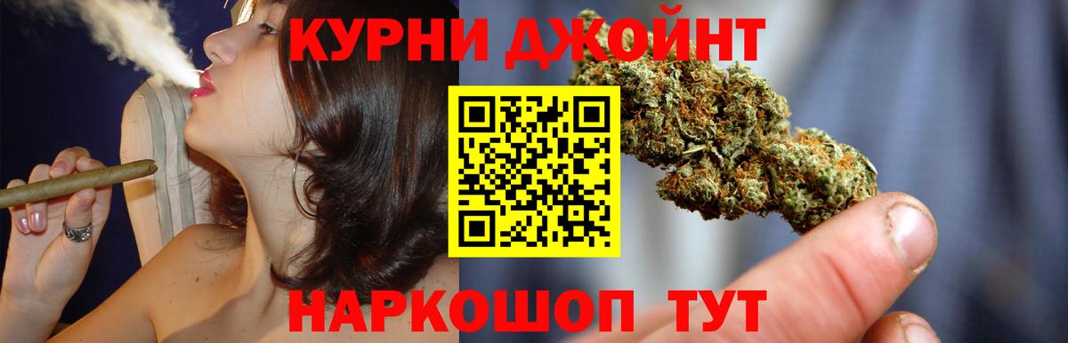 Бошки Шишки планчик Сертолово
